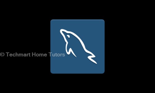Techmart Home Tutors in Vishnu Garden, Delhi - 110018