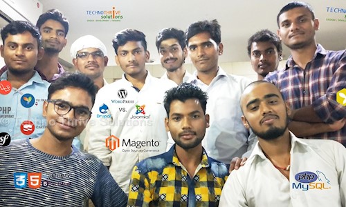 Techno Thrive Solutions in Civil Lines, Allahabad - 211001