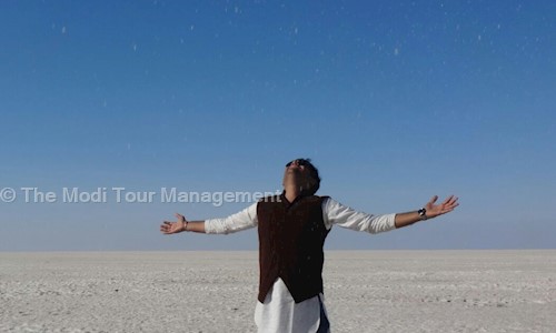 The Modi Tour Management in Nizampura, Vadodara - 390024