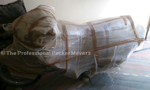 The Professional Packer Movers  in Sector 17, Gurgaon - 122001