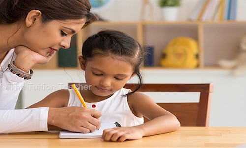 The Tuition Teacher