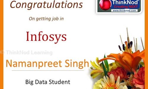 ThinkNod Learning in Sector 17, Faridabad - 121002