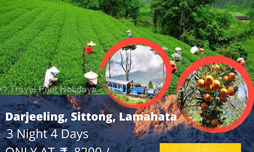 Travel Pilot Holidays in Prafulla Kanan, North 24 Parganas - 700091