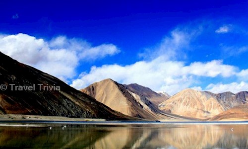 Travel Trivia in Vasant Kunj, Delhi - 110070