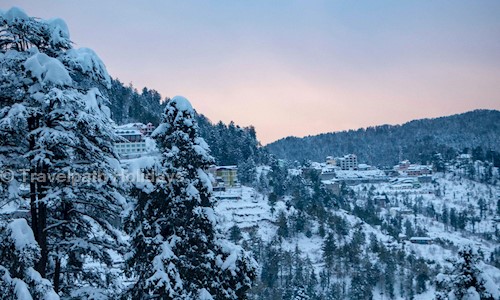 Travelpath Holidays in Inder Puri, Delhi - 110012