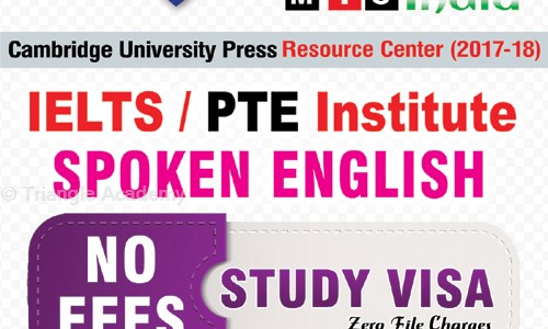 Triangle Academy in SAS Nagar, Mohali - 160055