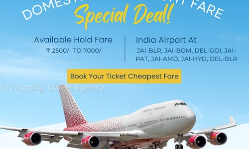 Trigotrip Travel agency in Mansarovar, Jaipur - 302020
