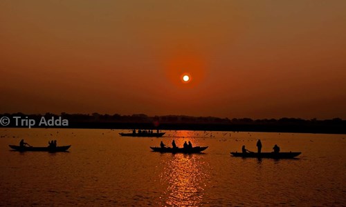 Trip Adda in Sangam Vihar, Delhi - 110062