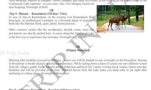 Trip India in Titanium, Trivandrum - 695021