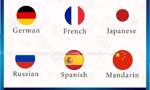 Trivium Overseas Educational Consultancy in Vile Parle East, Mumbai - 400057