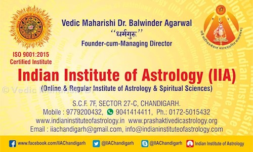 Vedic Maharishi Dr. Balwinder Aggarwal in Sector 27, Chandigarh - 160019