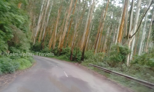 Vetri Velan Travels in Peelamedu, Coimbatore - 641045