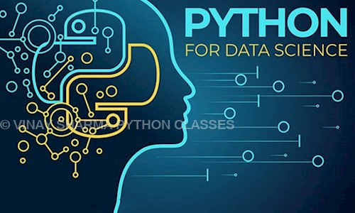 VINAY SHARMA PYTHON CLASSES in Sector 44, Gurgaon - 122003
