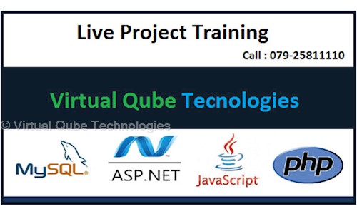 Virtual Qube Technologies in Isanpur, Ahmedabad - 382443