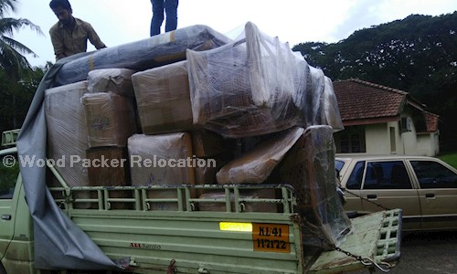 Wood Packer Relocation in Aluva, Cochin - 683106