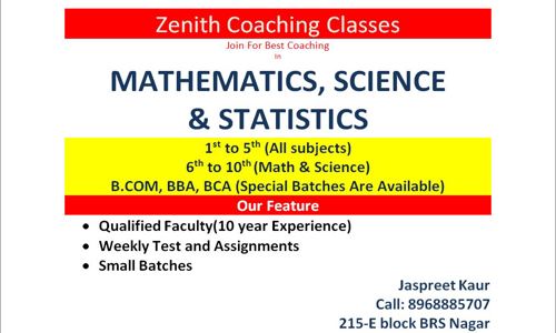 Zenith Coaching Classes in Bhai Randhir Singh Nagar, Ludhiana - 141002