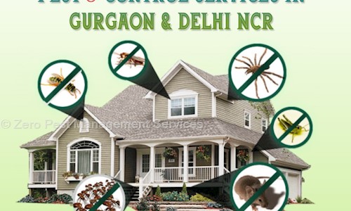 Zero Pest Management Services in Sikanderpur, Gurgaon - 122001