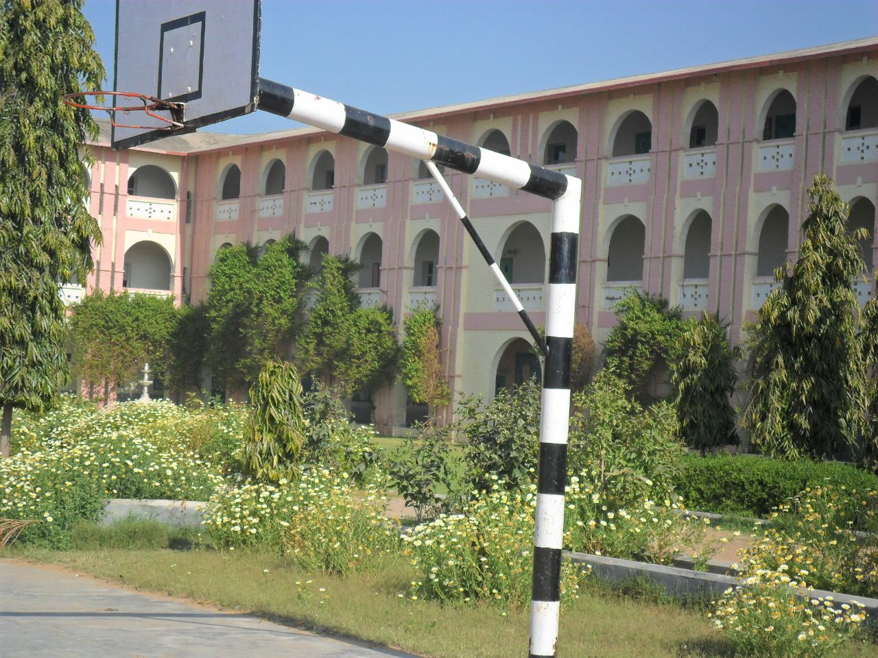 Pramod Kumar  Noida