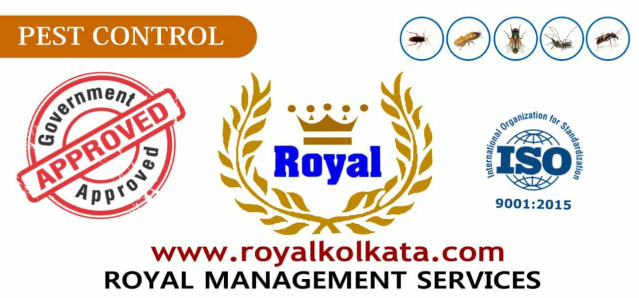 Logo of Royal Management Services