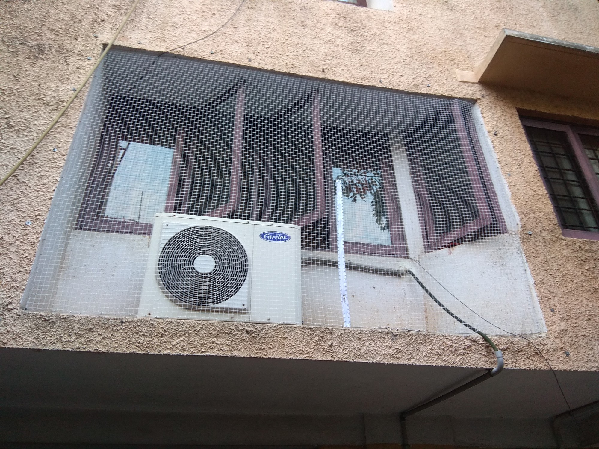 Pasupathi J kanchipuram Chennai