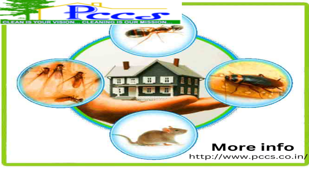 Rageesh Calicut City Calicut