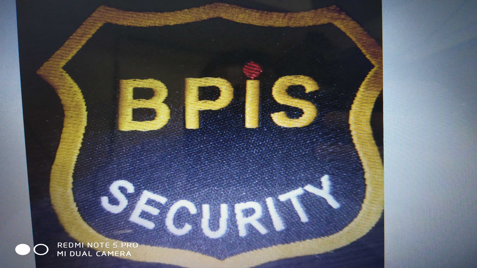 Logo of Bandhan Protection And Intelligence Services Private Limited