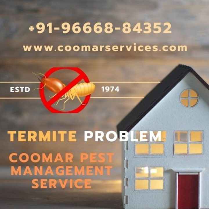 Coomar and Coomar Services in Sarada Nagar Best pest control service