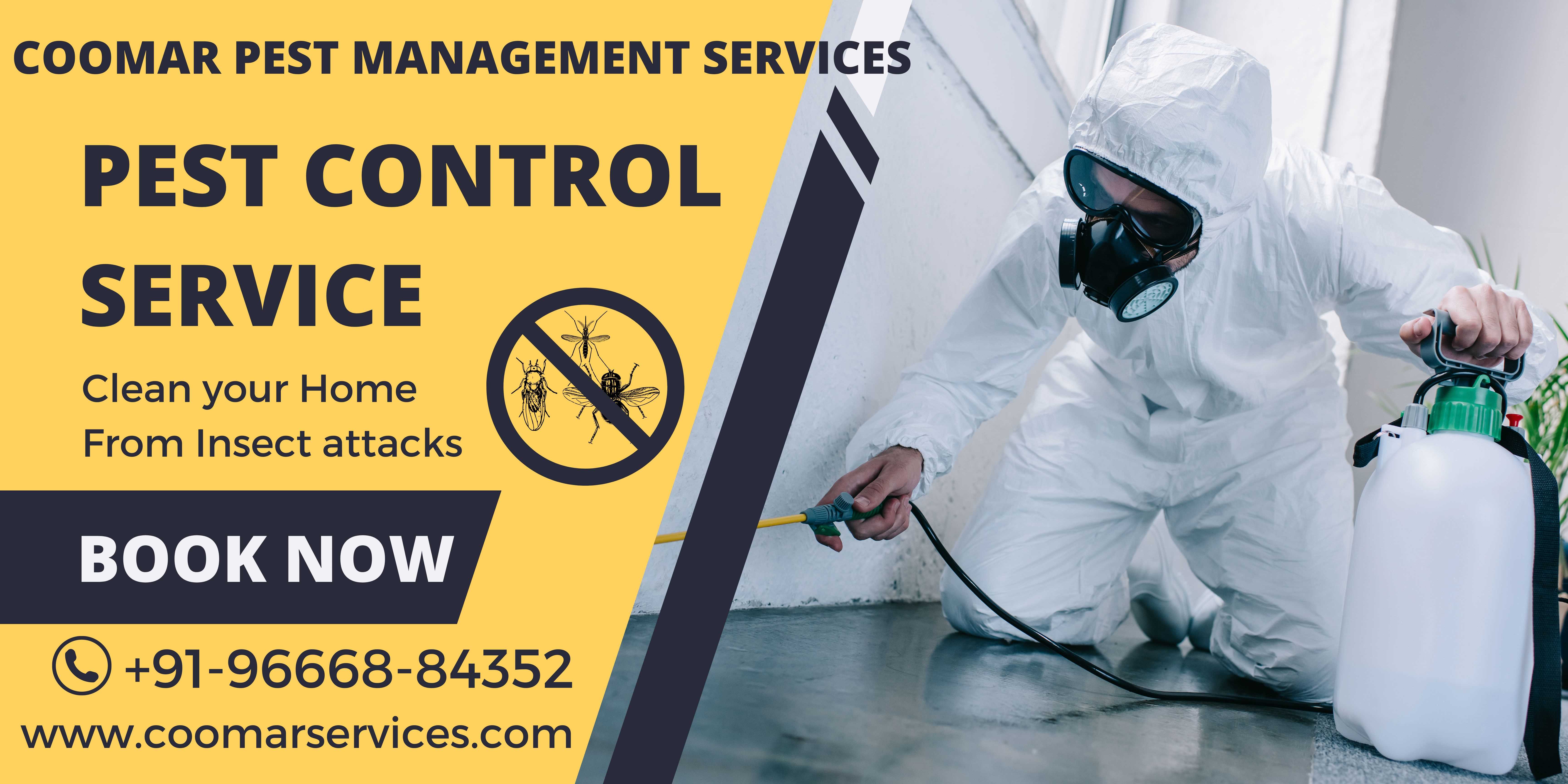 Coomar and Coomar Services in Sarada Nagar Best pest control service