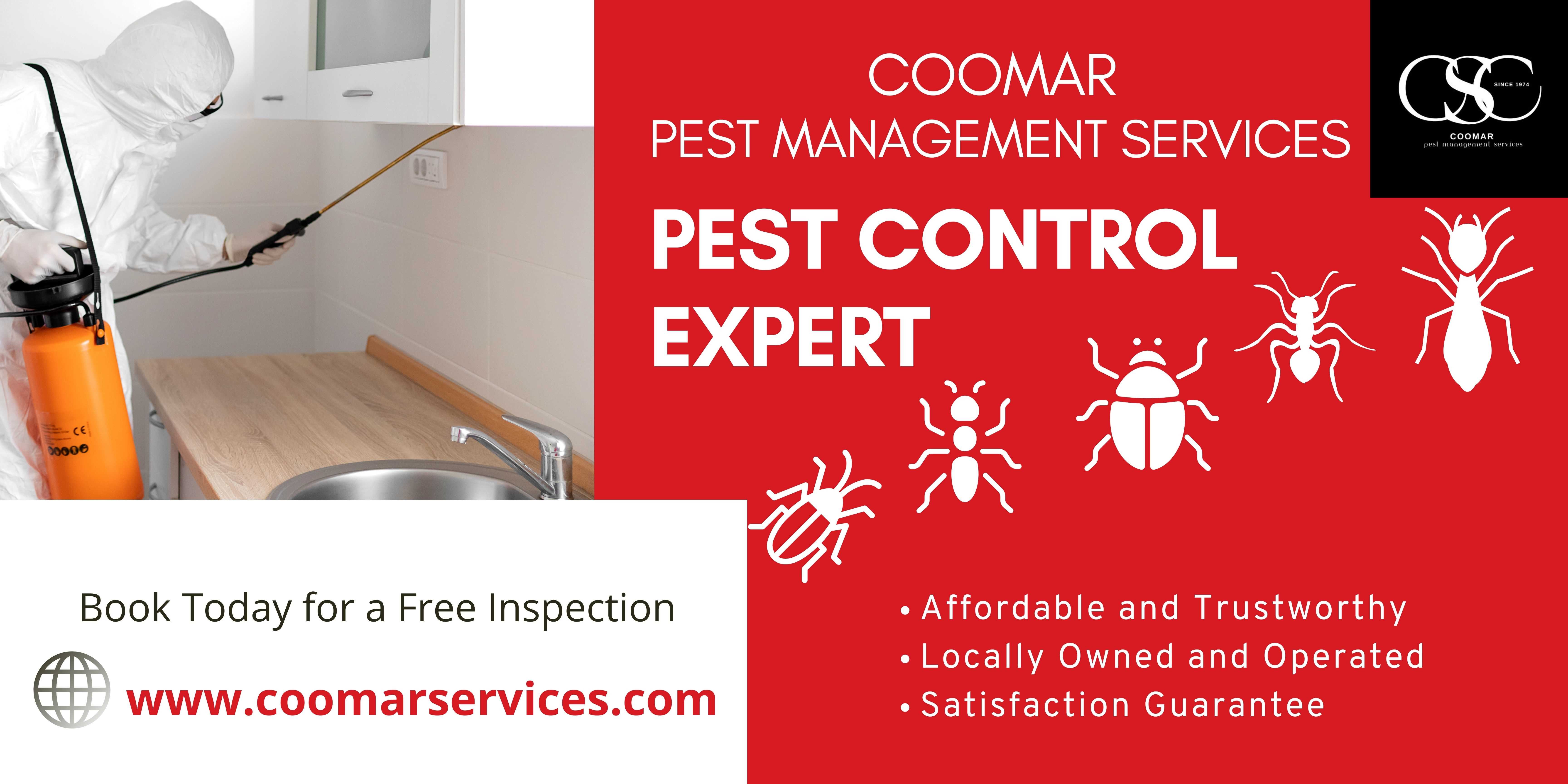 Coomar and Coomar Services in Sarada Nagar Best pest control service