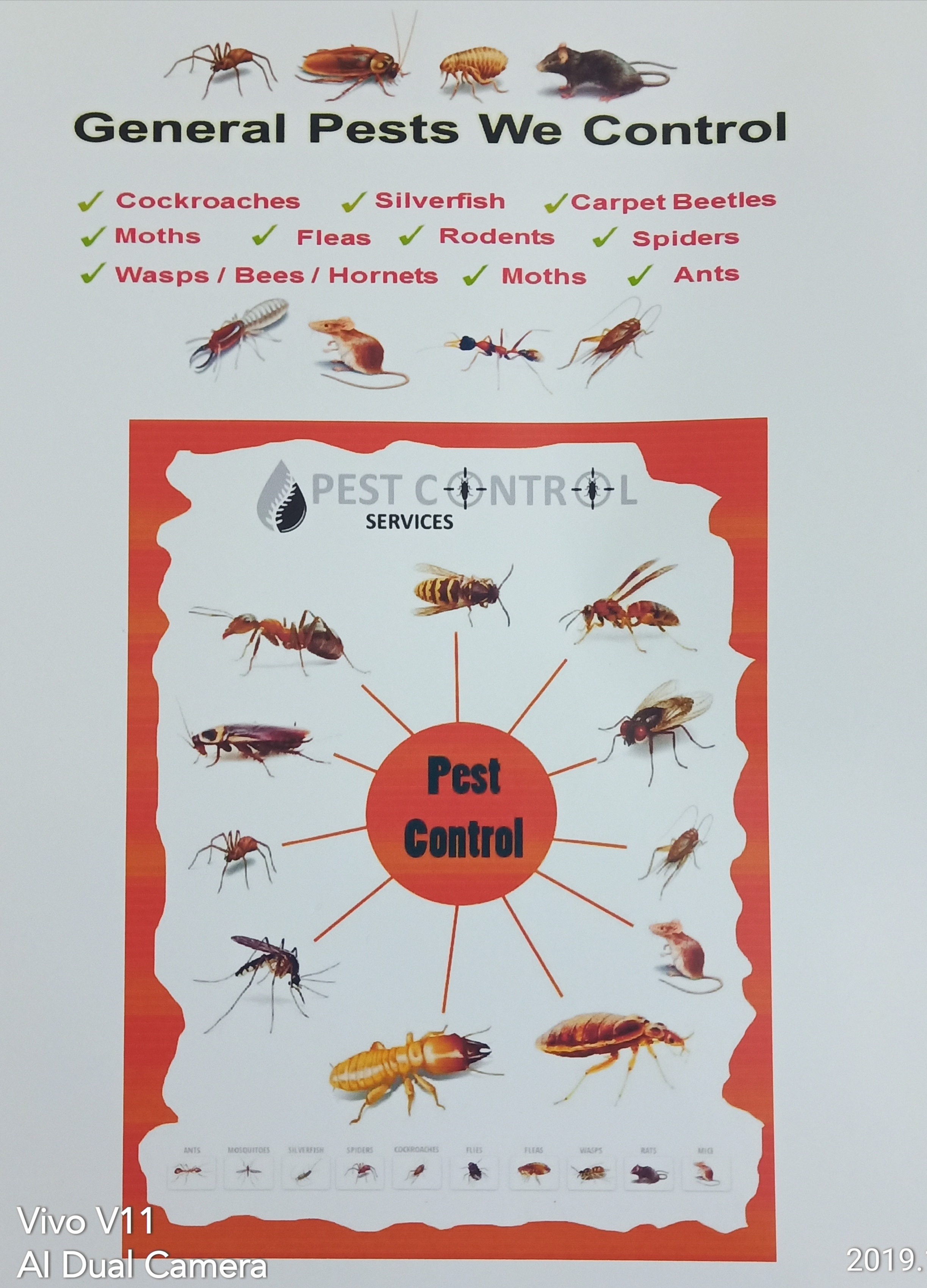 Coomar and Coomar Services in Sarada Nagar Best pest control service in Sarada Nagar