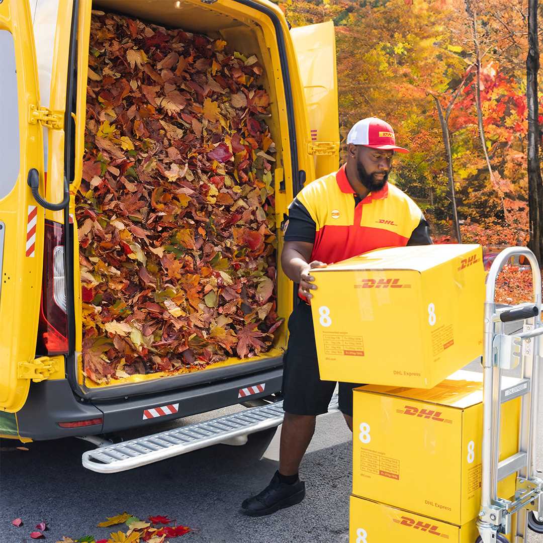 DHL Express (India) Pvt. Ltd in INA Colony, Amritsar