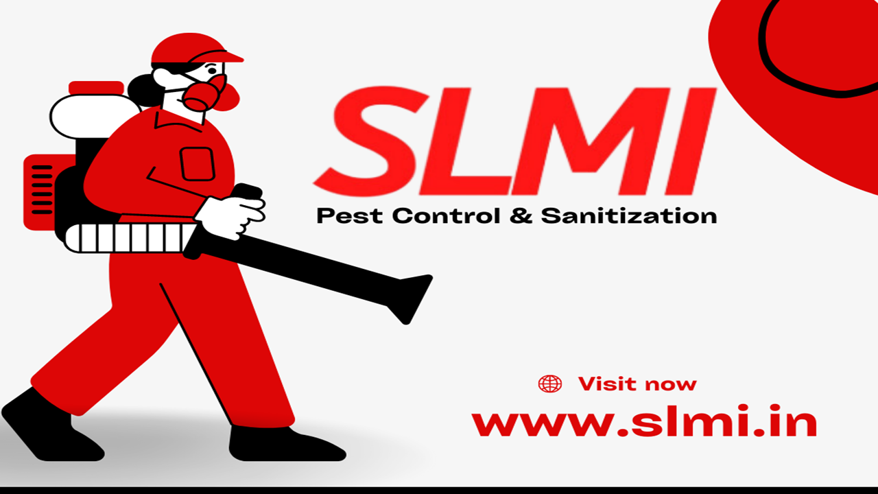 SLMI Services Private Limited Khurram Nagar Lucknow