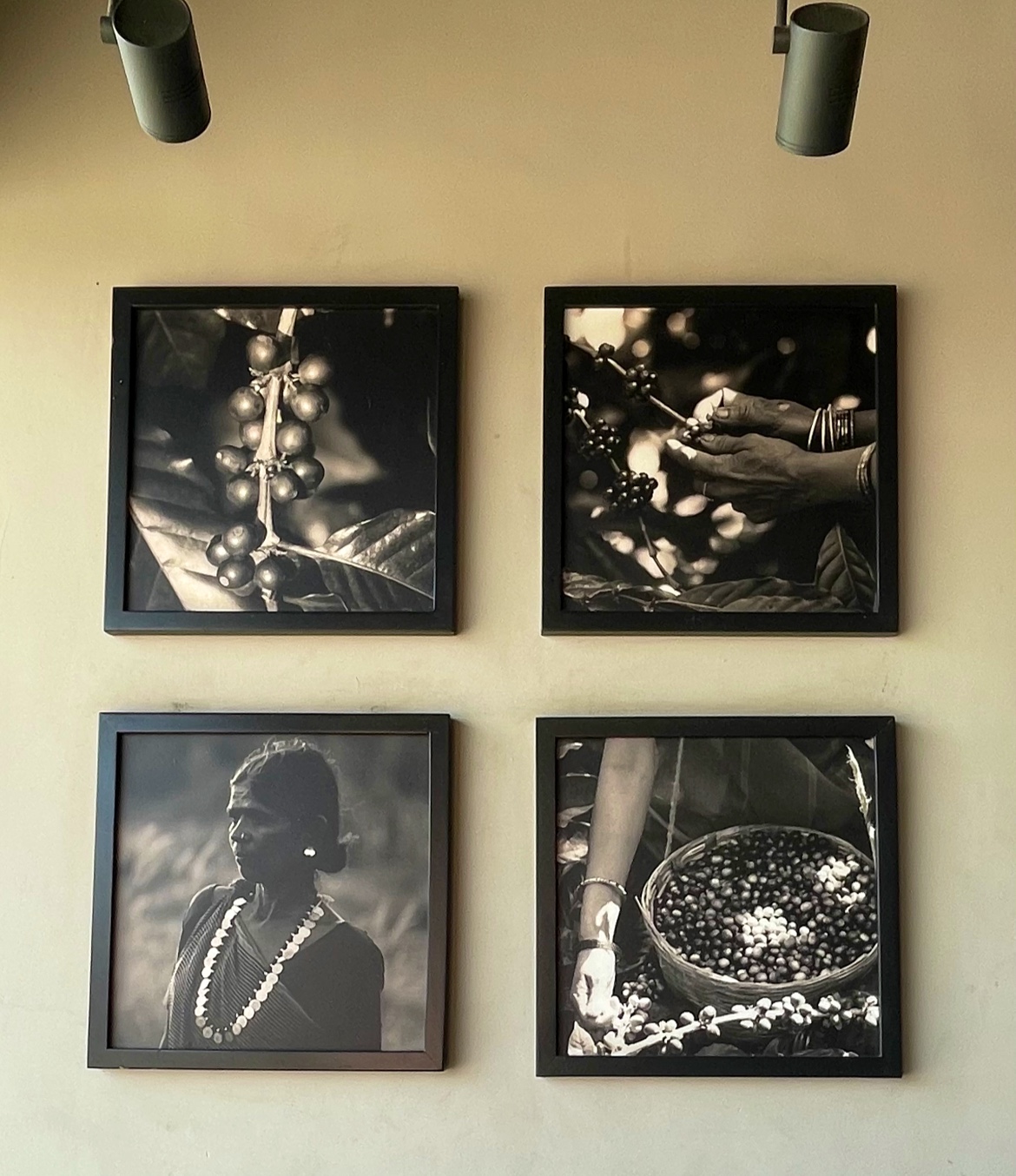 Cafe Coffee Day Hubli Bangalore Highway, Chatra Best Coffee Shop