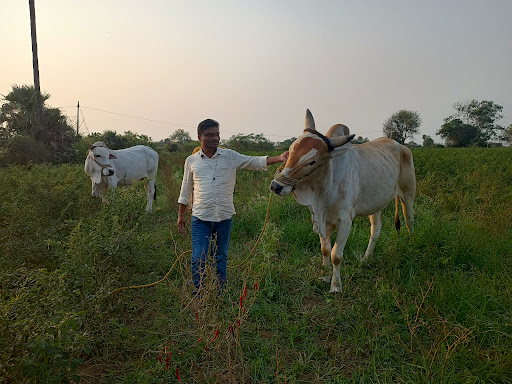 Muthoot Finance Services in Boduppal, Hyderabad, Telangana