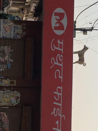 Muthoot Finance Services in Alipur, New Delhi, Delhi