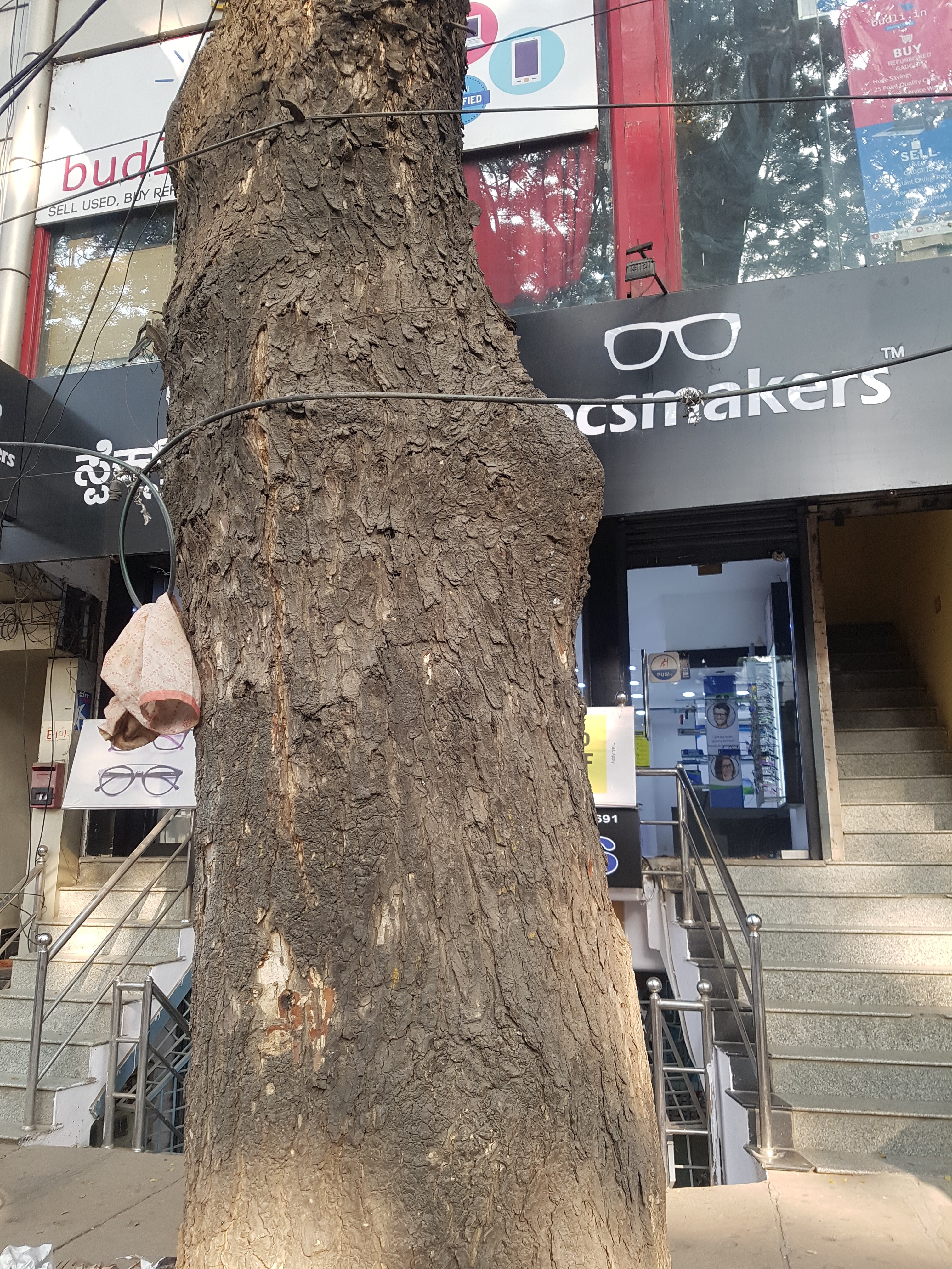 ~obj.domainame in Koramangala, Bengaluru