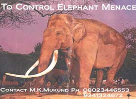 Mukund M.K Sadashiv Nagar Bangalore