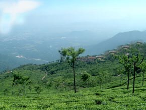 Elangovan, Menaka  Coimbatore