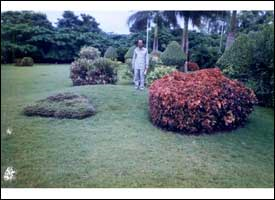 Sumitra Baban Pawar  Mumbai