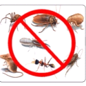 GaganPestControl Industrial Area Phase I Chandigarh GaganPestControl Industrial Area Phase I Chandigarh