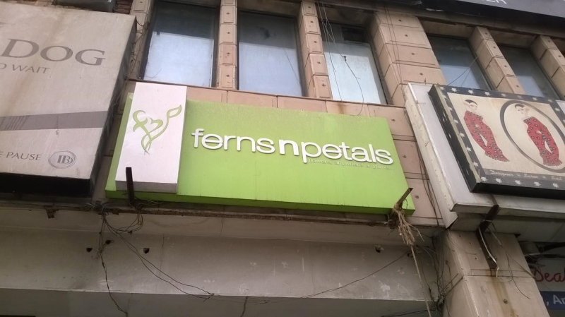 Fernsnpetals Rohini Sector 9 Delhi Fernsnpetals Rohini Sector 9 Delhi