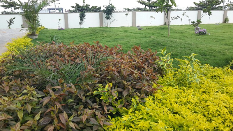 Prashanth S Kalyan Nagar Bangalore