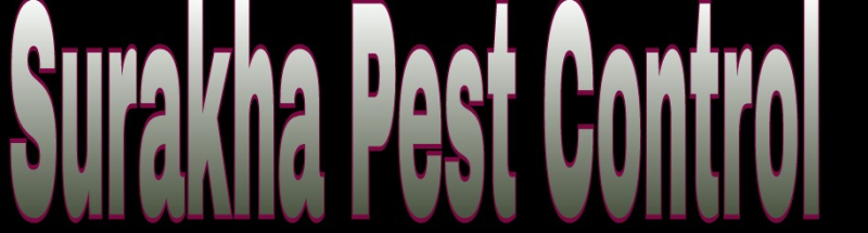 Logo of Suraksha Pest Control And Sanitizing Service