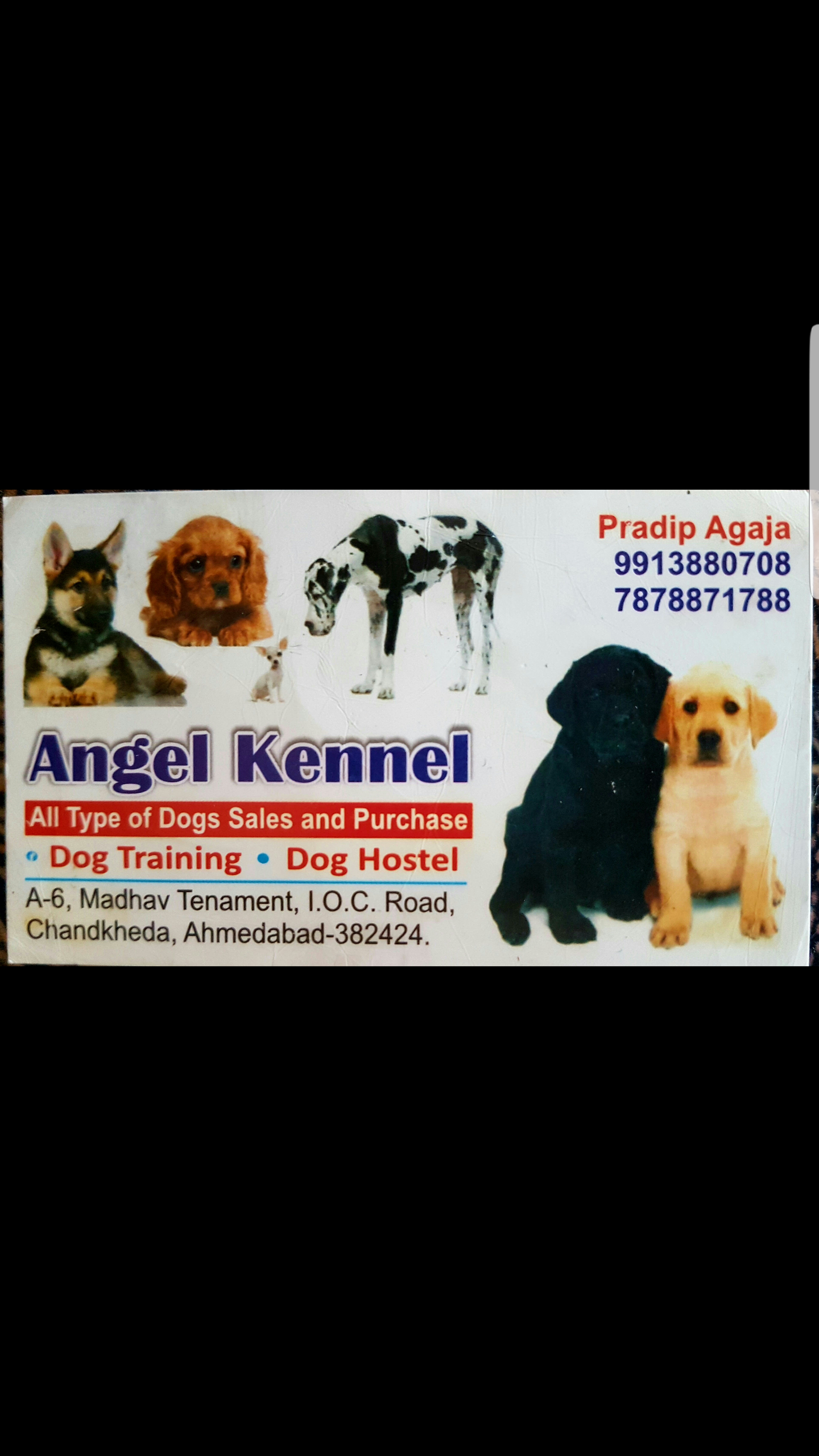 Pet Care Centers in Chandkheda, Ahmedabad | Sulekha Ahmedabad Pet Care Centers in Chandkheda, Ahmedabad | Sulekha Ahmedabad
