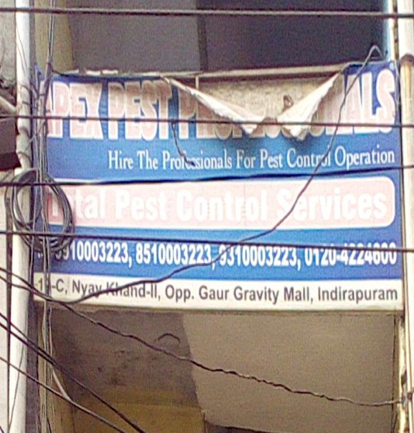 Sanjeev Kumar Ghaziabad Delhi Sanjeev Kumar Ghaziabad Delhi