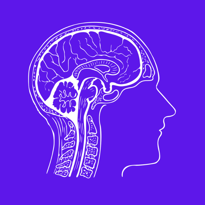 Cerebrum Biology Academy (Online) image