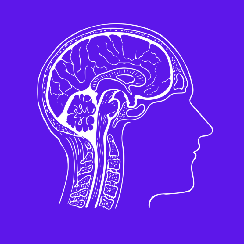 Logo of Cerebrum Biology Academy (Online)