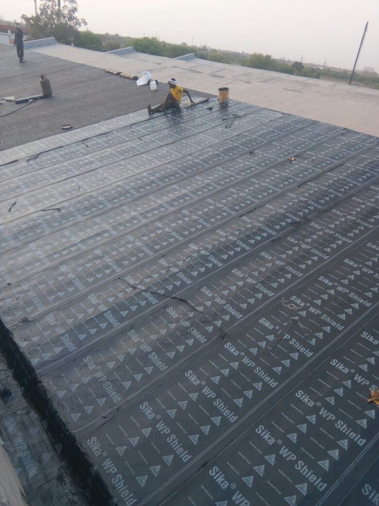 GreenLeafCorporation M P Nagar Bhopal