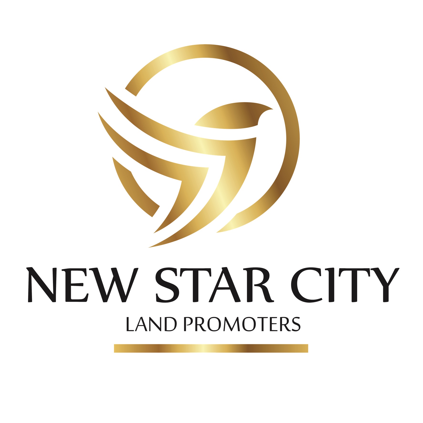 NEW STAR CITY PROPERTIES