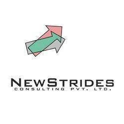 Logo of Newstrides Consulting Pvt. Ltd.